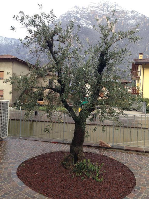 Agritur Ai Masi Villa Pergolese Buitenkant foto